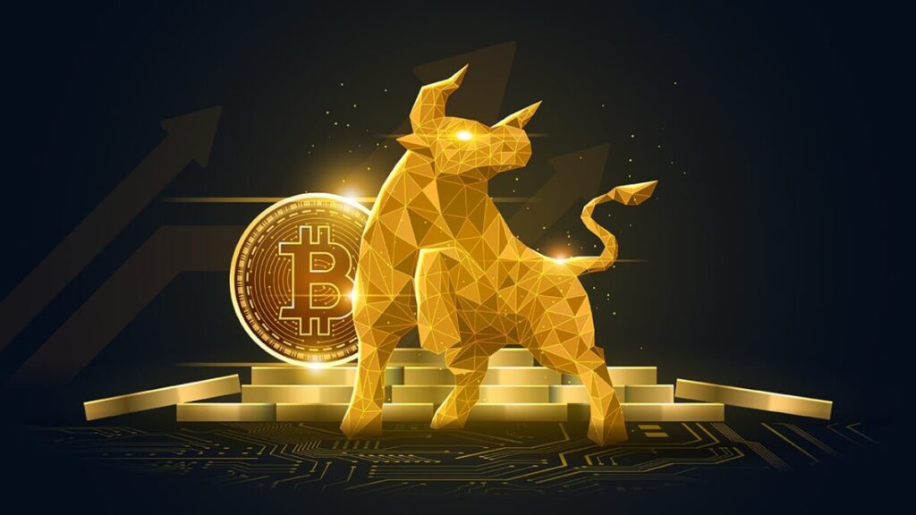 Riding The Crypto Bull Market What You Need To Know E1718453801249.jpg