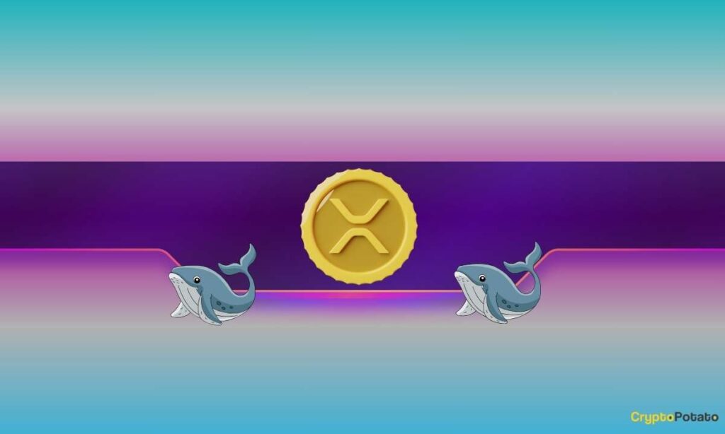 Xrp Whales Cb.jpg