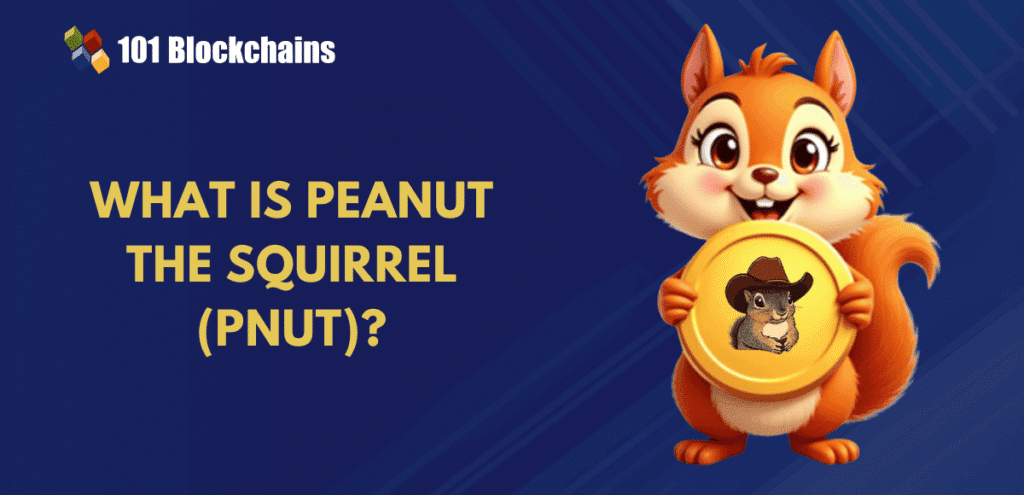 Peanut the squirrel pnut.png