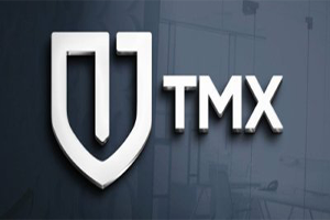 Only 485 ETH available after $ 871,000 collected Tmx.png