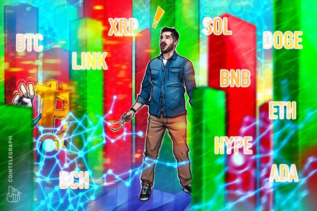 Bitcoin set to pursue new heights while altcoins fight 0197b274 6961 7f9b 8366 b003500e9ae9.jpeg