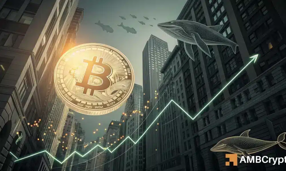 Do you decreases from the Bitcoin offer, institutions load $ 164 million in BTC – will prices follow? Kelvin 58 1000x600.webp.webp