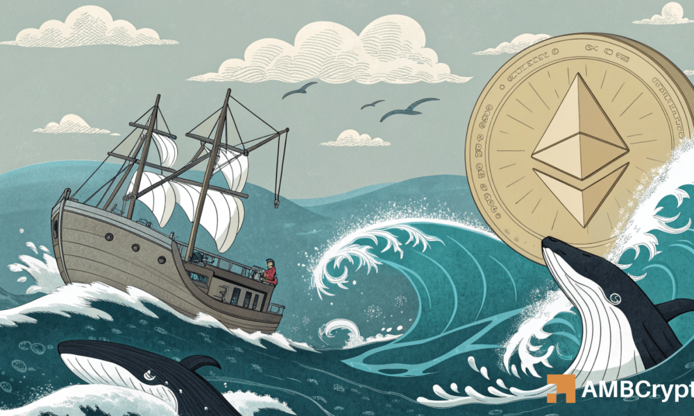 Ethereum Whales goes out, activity cheaux for: ETH will a surprise movement? Erastus 2025 08 31t150101.610 min 1000x600.png