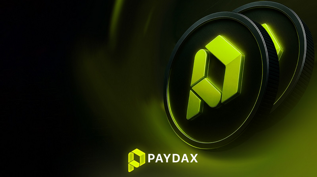 Bring robust digital banks to the world defined Screenshot 2025 09 21 at 11 38 22 paydax protocol pdp bringing robust digital banking to the defi wo.png
