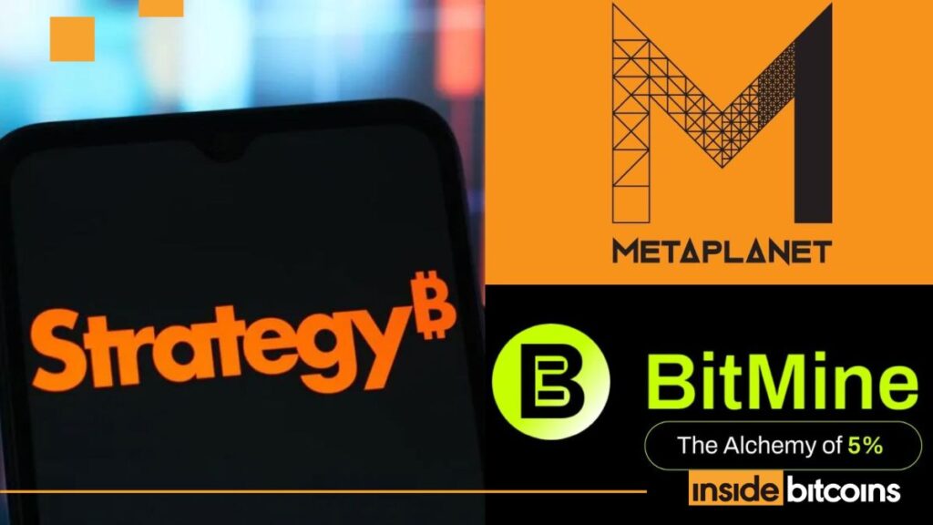 Crypto treasury firms optimized.jpg