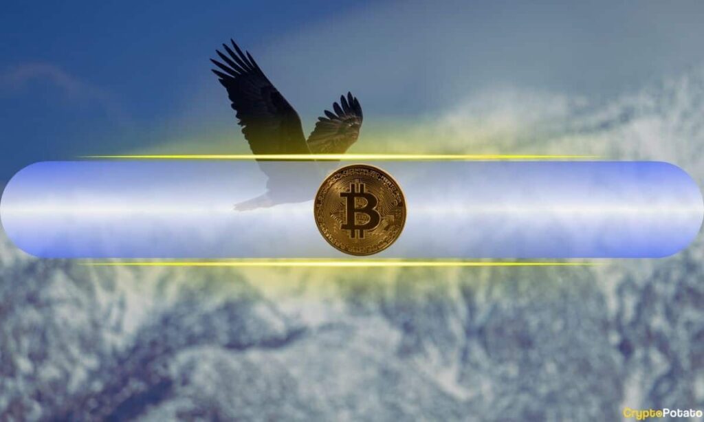 Bitcoin high.jpg