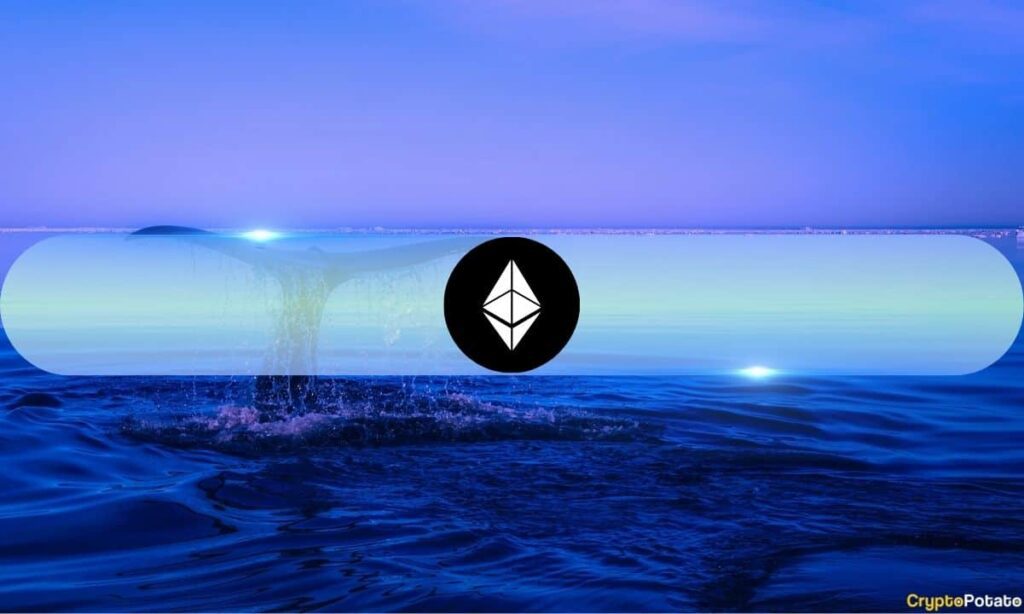 Ethereum Sharks and Whales Are Back: What Does This Mean for ETH Price?