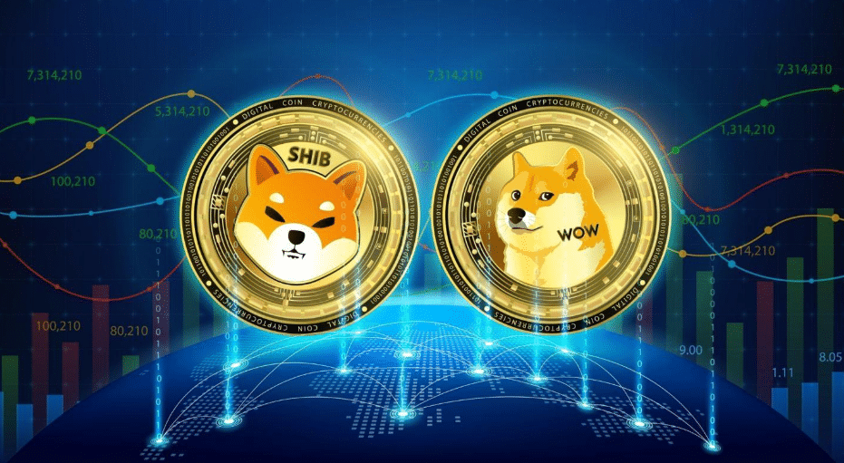 How high can DOGE and SHIB reach this cycle? Digitap Poised for 10X Faster Potential Increase