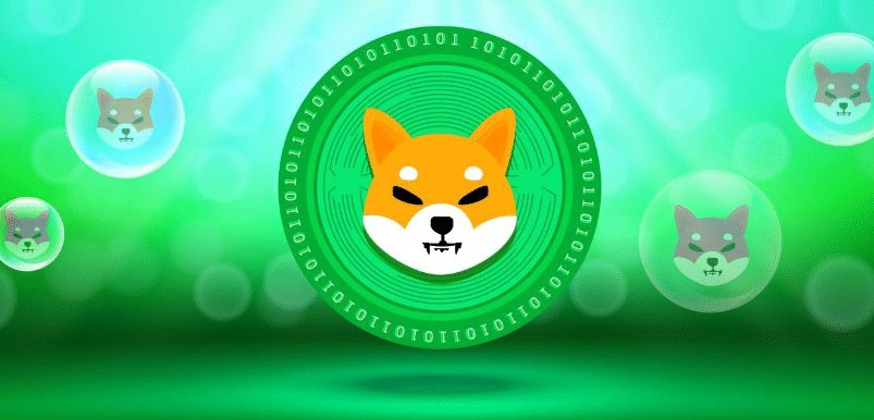 Despite expected new highs for SHIB and XRP, investors are flocking to this low-cap coin: how high can it reach in 2025?
