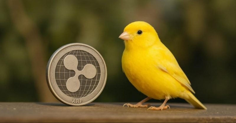 Canary Funds Updates S-1 Filing for XRP Spot ETF, Aiming for November 13 Launch