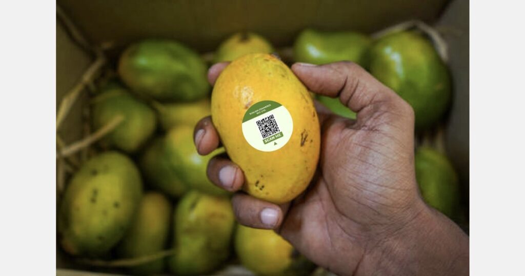 “Blockchain traceability improves management of fresh produce supply chains”