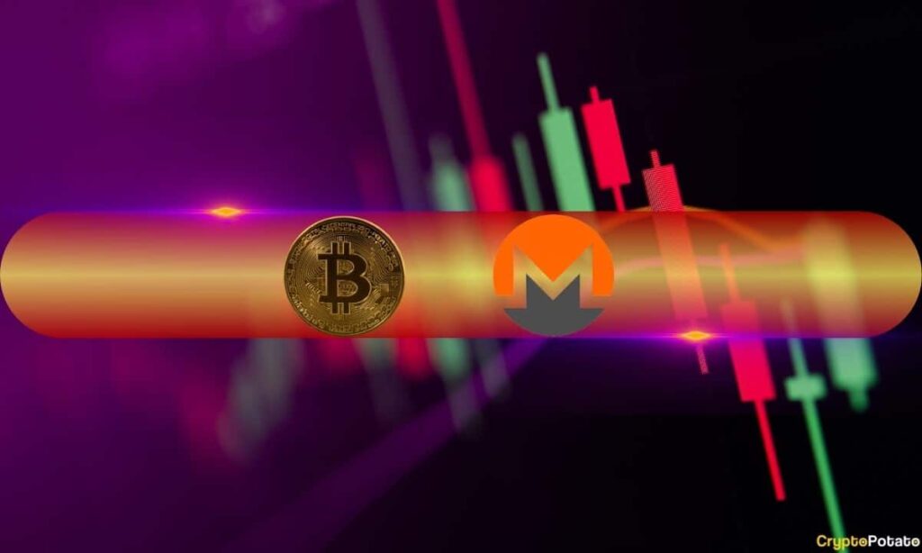 ZEC and XMR explode by double digits again as BTC price struggles below $102,000: weekend watch