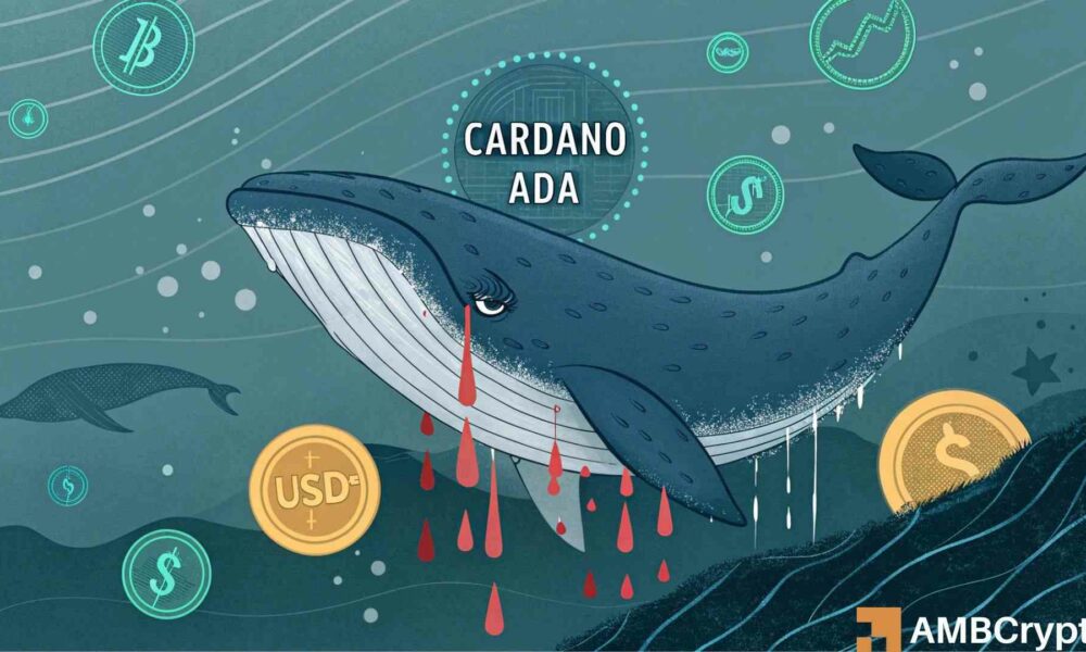 Cardano whale loses 90% of its ADA after converting to an illiquid stablecoin