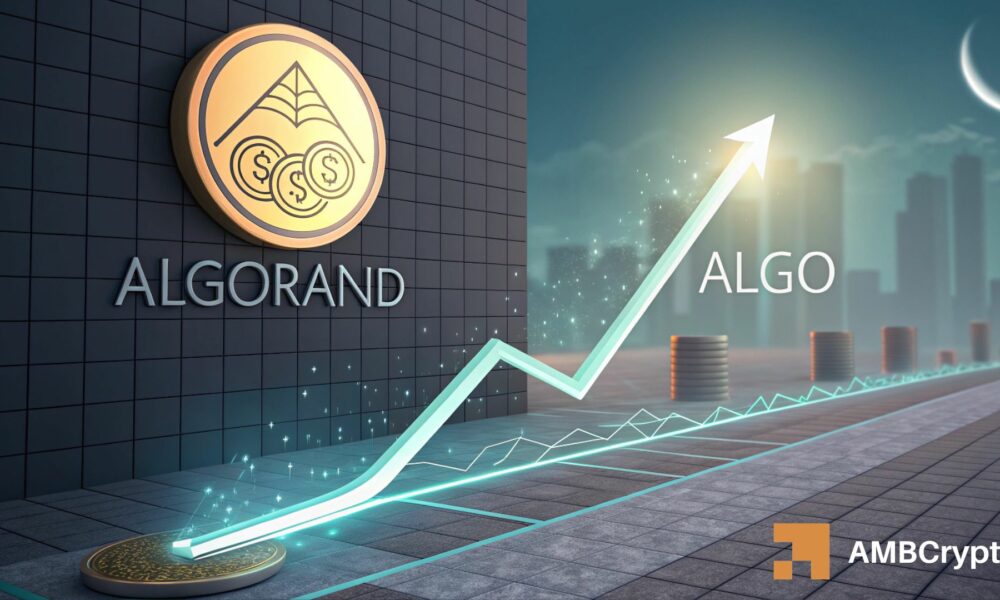 Algorand Issues Two Buy Signals: ALGO Targets $0.20 Bounce