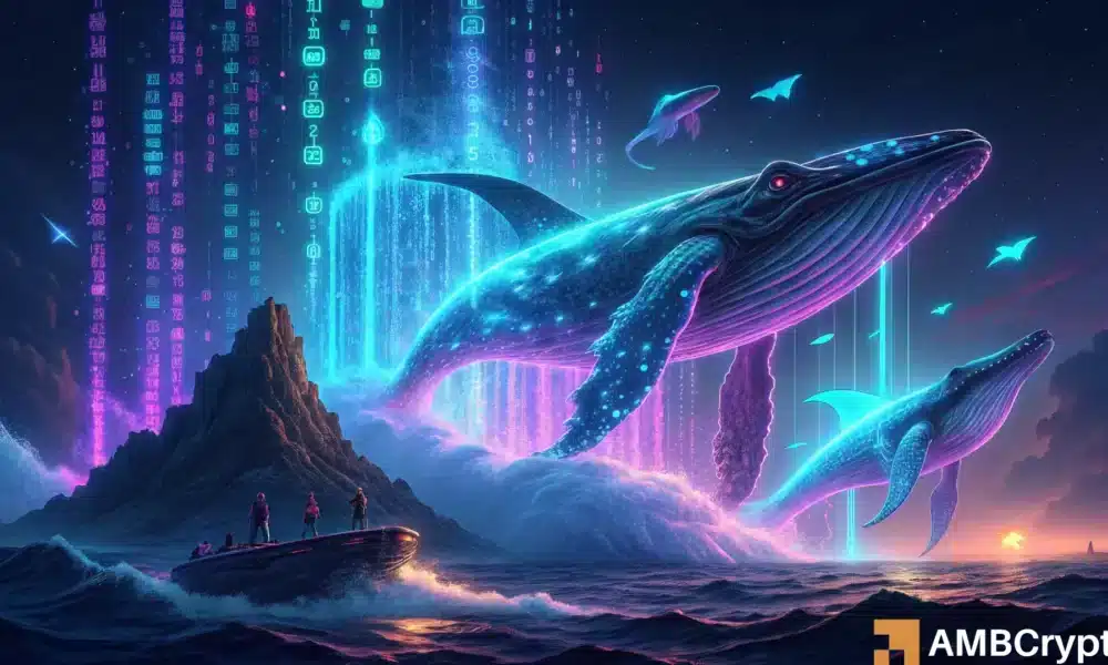 Why XRP remains silent despite whale transfers and growing demand for STH