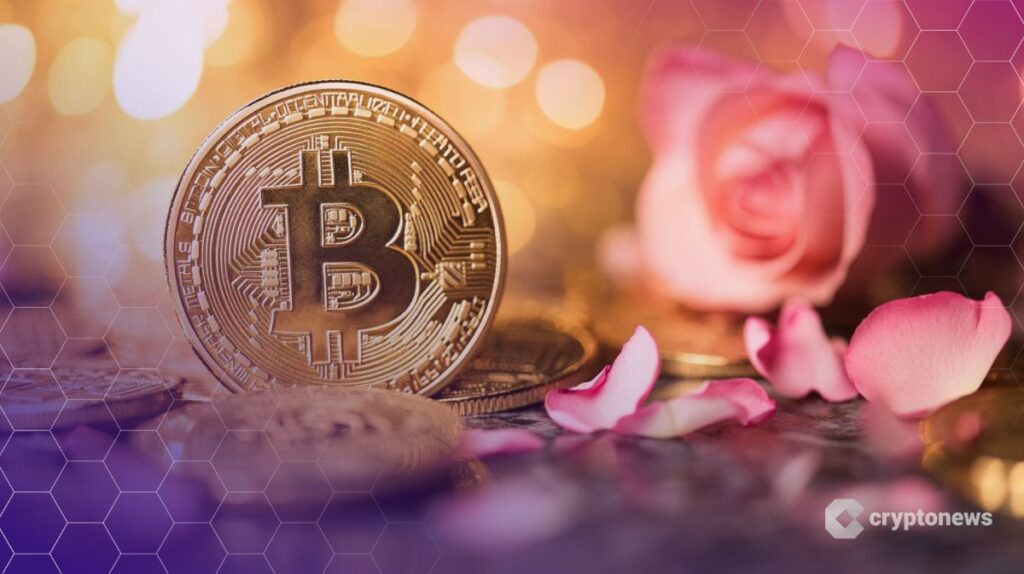 Bitcoin Advisor Reveals How Client Lost Their Retirement Funds to Romance Scam