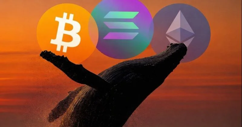 Whale Increases Leveraged Shorts to $169M on BTC, ETH, and SOL