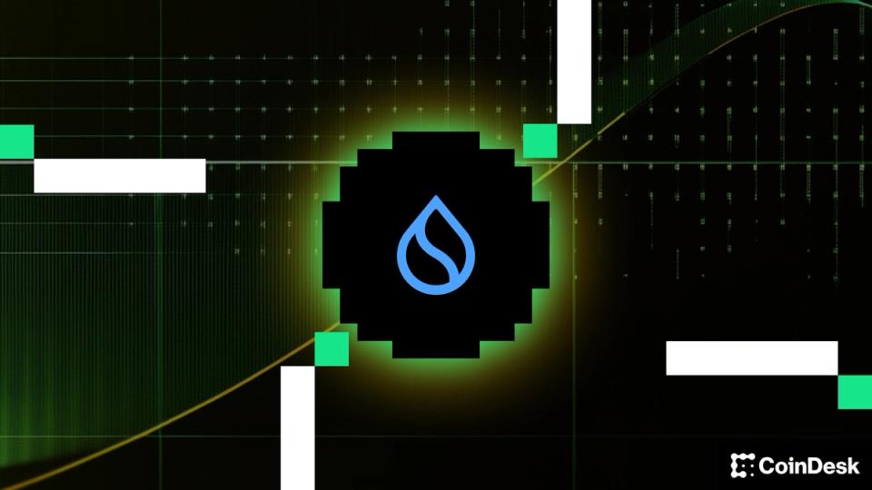 Sui Group (SUIG) charts a new path for crypto treasuries with stablecoins and DeFi