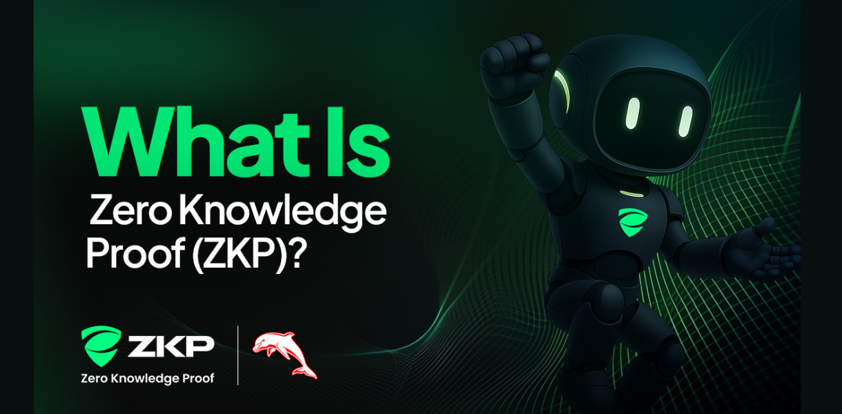 What is Zero Knowledge Proof (ZKP)? A complete analysis of the crypto ...