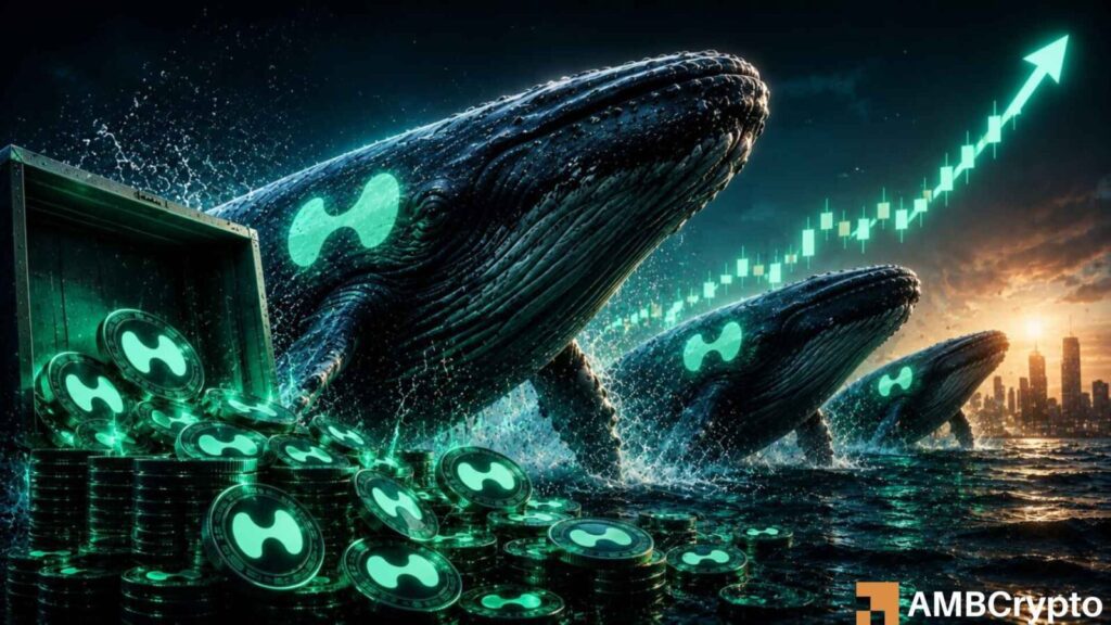 Hyperliquid: Can a $9.57M Whale Buy Push HYPE Price Above $50?