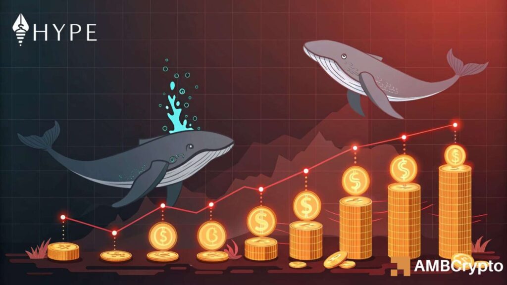 Hyperliquid Faces $35M Whale Activity – Can Bulls Absorb HYPE Supply?