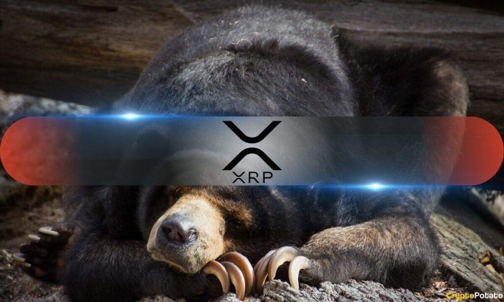 XRP On-Chain Data Issues Warning as Sellers Continue to Dominate
